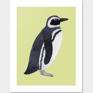 Magellanic Penguin Posters and Art